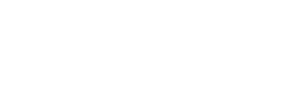 Logo Sommet de la massotherapie